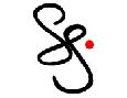 Seiz System Engineering